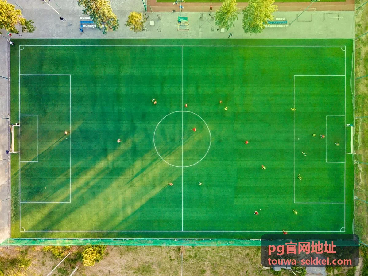 pg官网地址专属内容精选分类页头图
