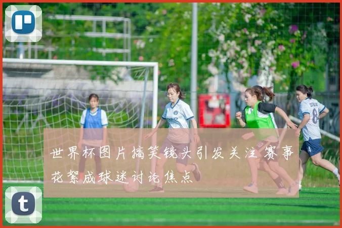 世界杯图片搞笑镜头引发关注 赛事花絮成球迷讨论焦点
