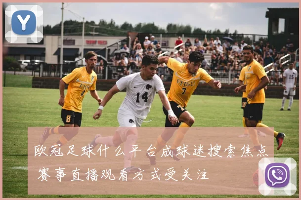 欧冠足球什么平台成球迷搜索焦点 赛事直播观看方式受关注