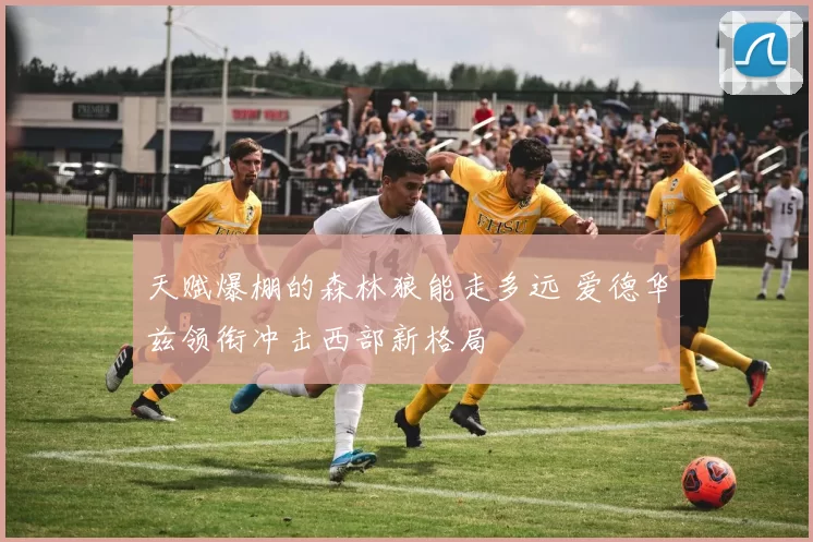 天赋爆棚的森林狼能走多远 爱德华兹领衔冲击西部新格局