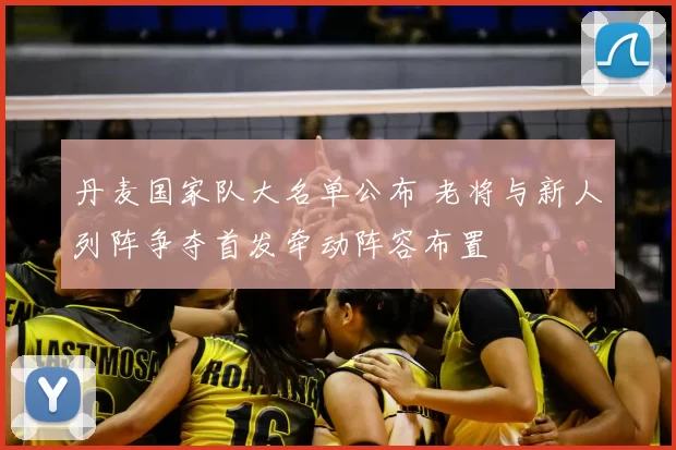 丹麦国家队大名单公布 老将与新人列阵争夺首发牵动阵容布置